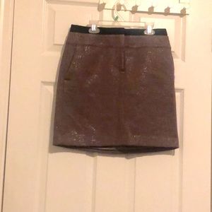 Ann Taylor Loft Skirt